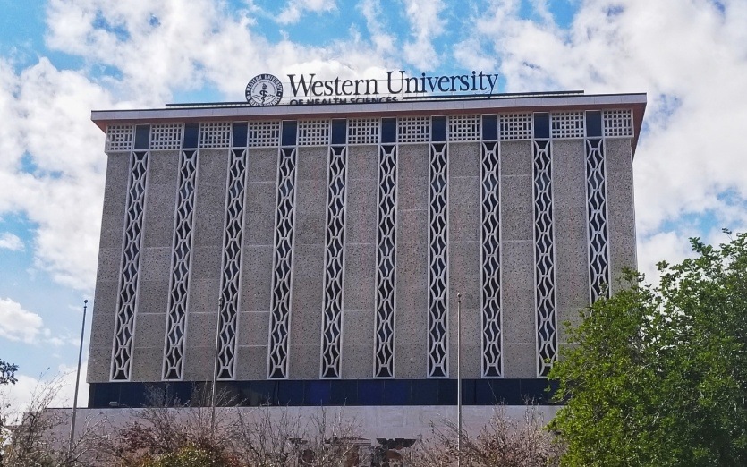 Outside view of dental school building
